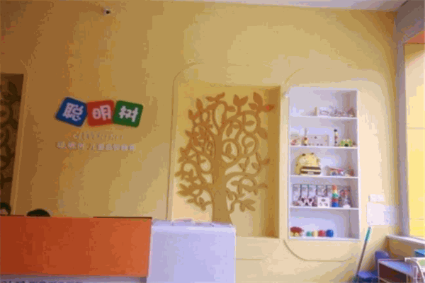 聪明树国际早教中心